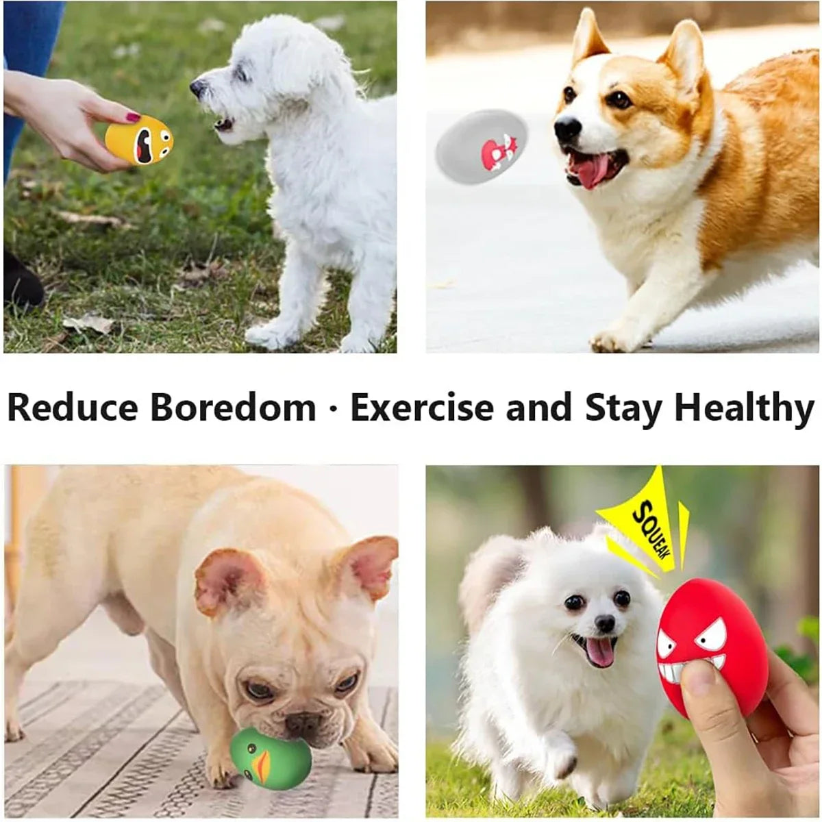 Bouncy Egg Dog Toy with Squeaker