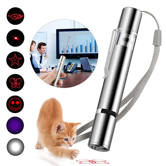 USB Rechargeable Laser Pointer Pen