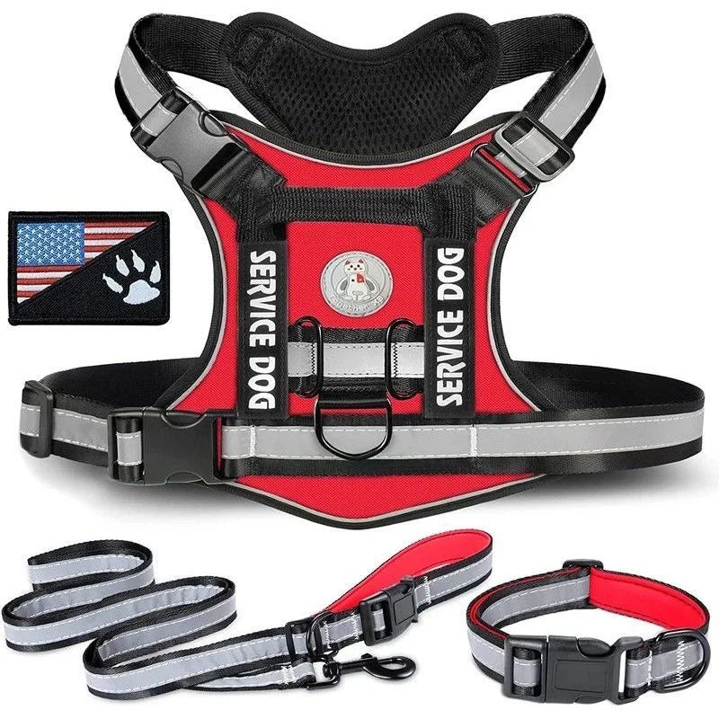 48677530566940|48677530632476|48677530698012|48677530730780|48677530861852