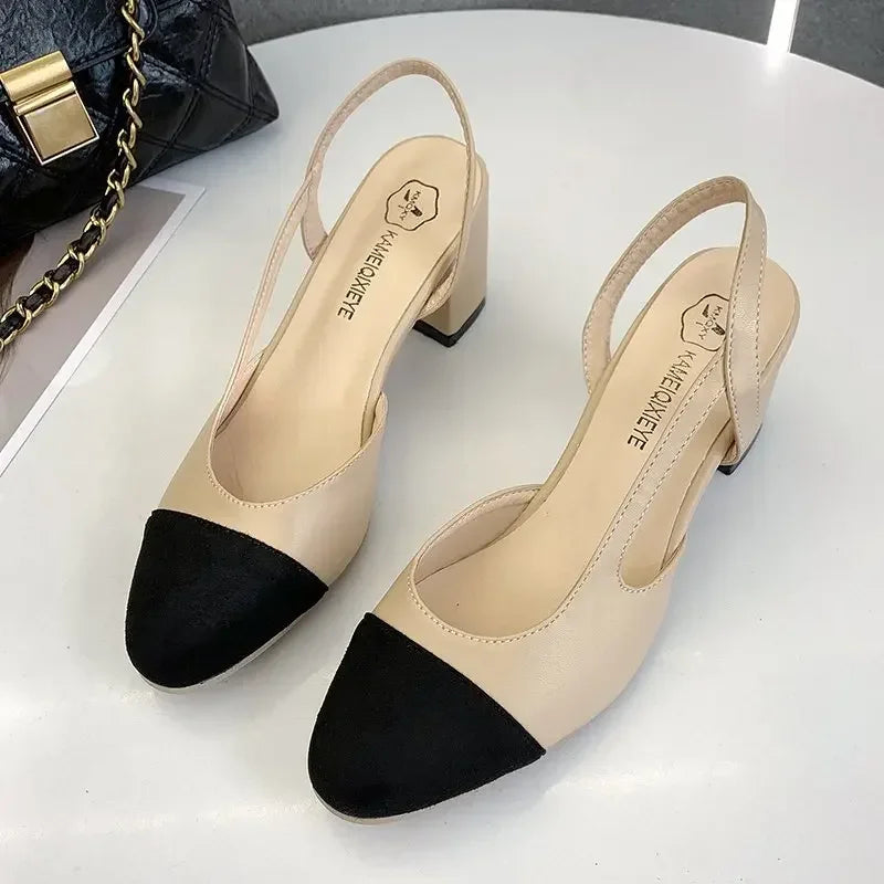 Women Shoes Woman Dress