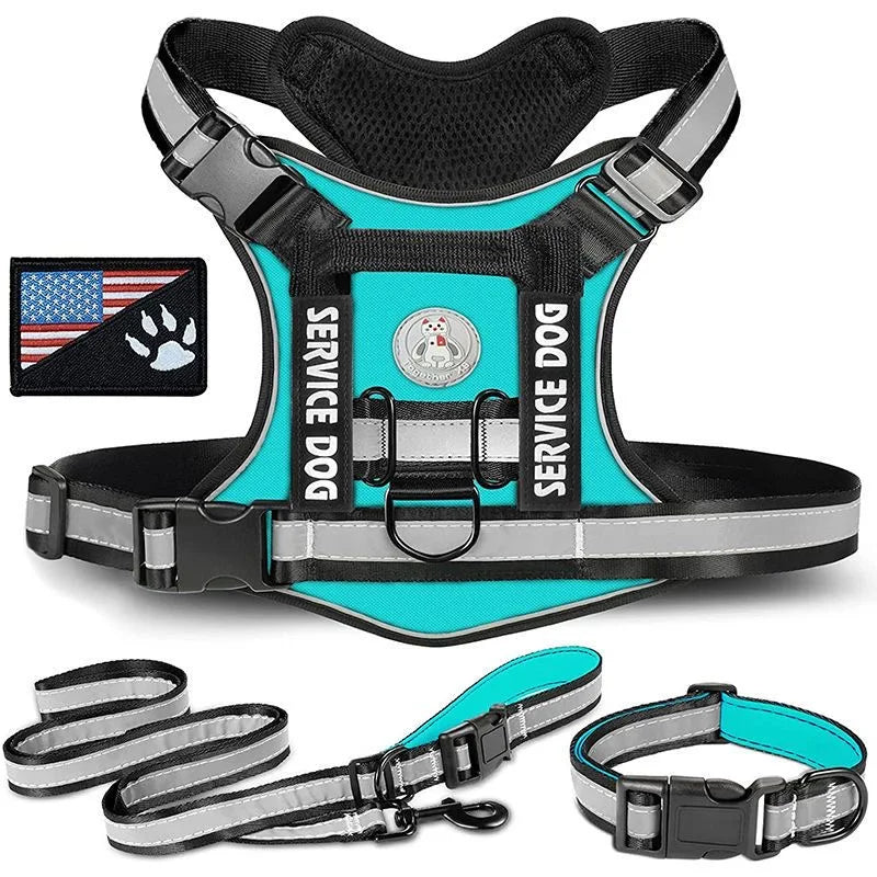 48677530796316|48677530927388|48677530960156|48677531484444|48677531517212