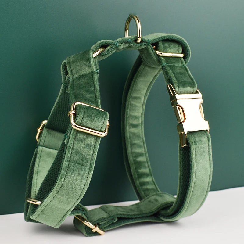 Forest Green Velvet Dog Collar And Leash Set
