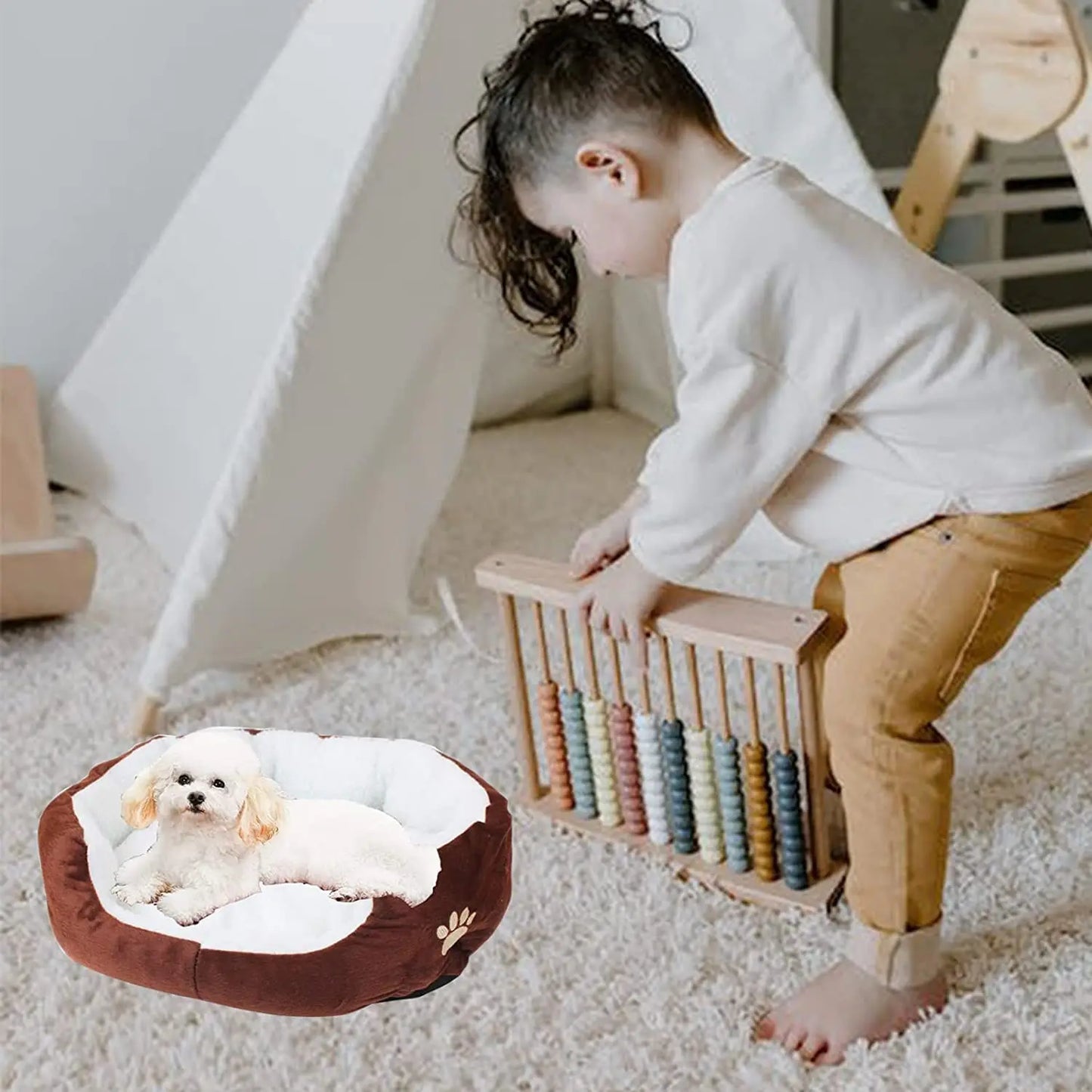 Teddy Bichon Bed Pets