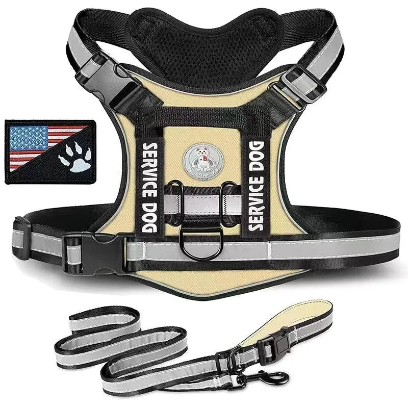 48677530501404|48677531353372|48677531386140|48677531418908|48677531451676