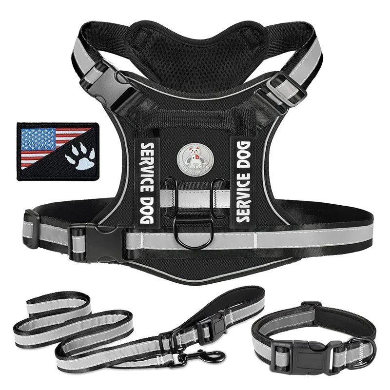 48677531025692|48677531058460|48677531091228|48677531123996|48677531156764